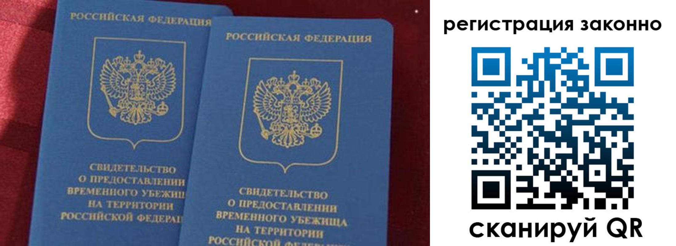 прописка в Борзе